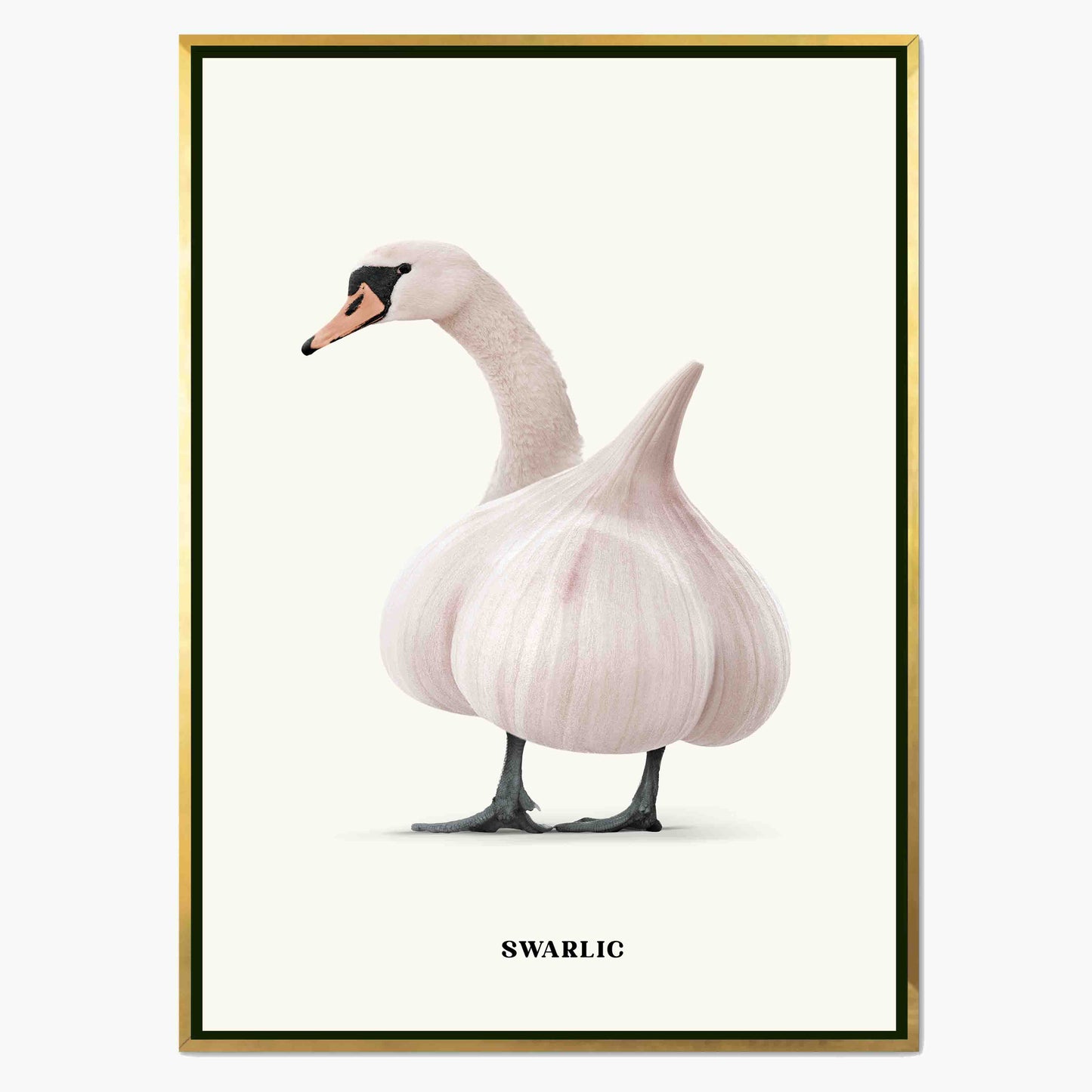SWARLIC | CANVAS