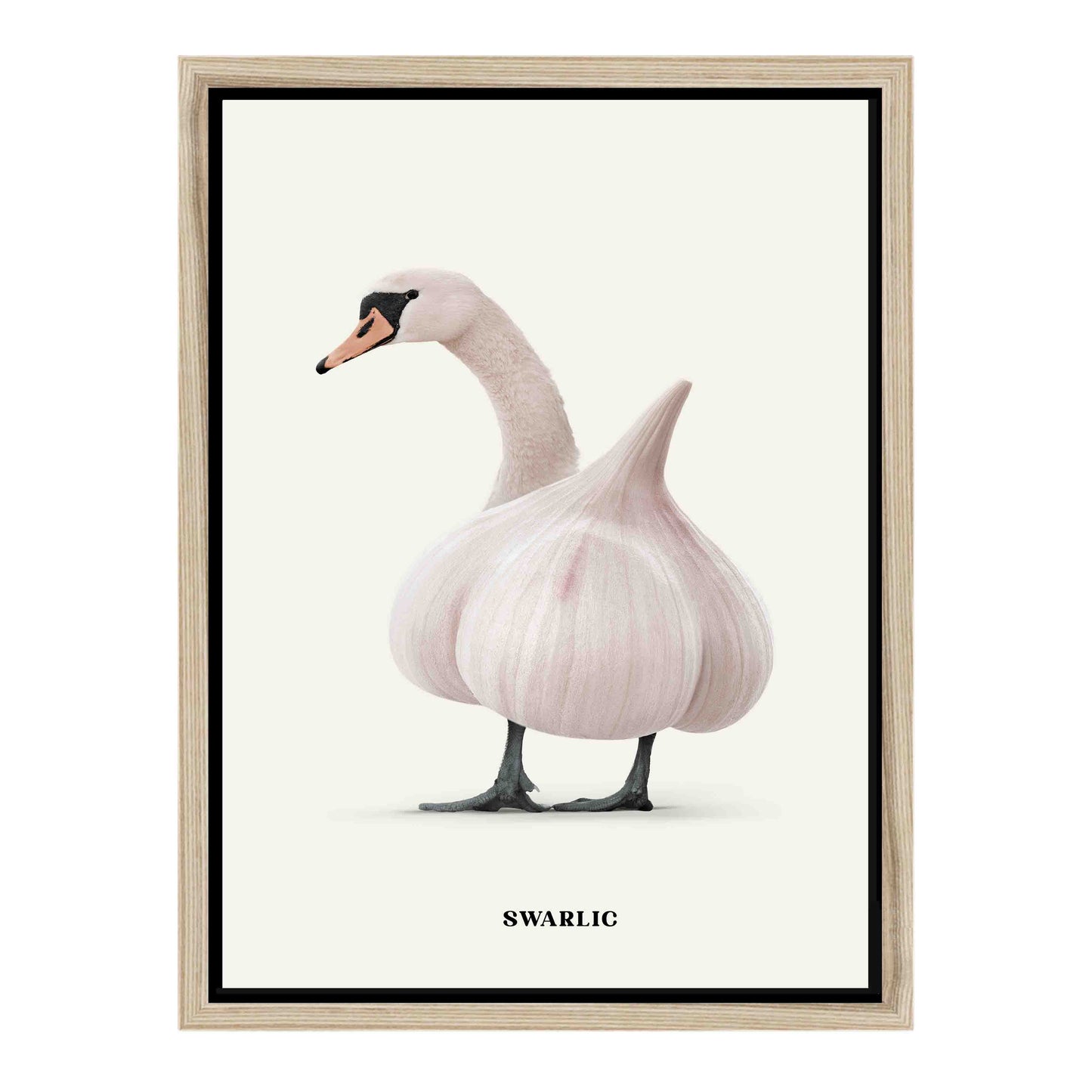SWARLIC | CANVAS