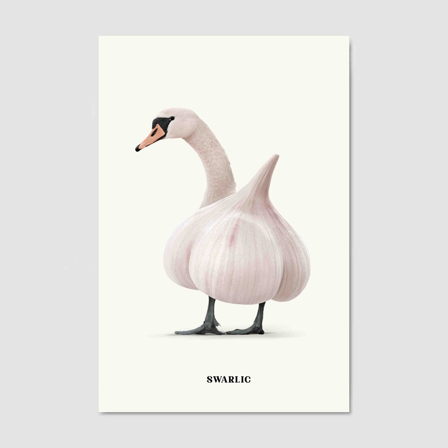 SWARLIC | CANVAS