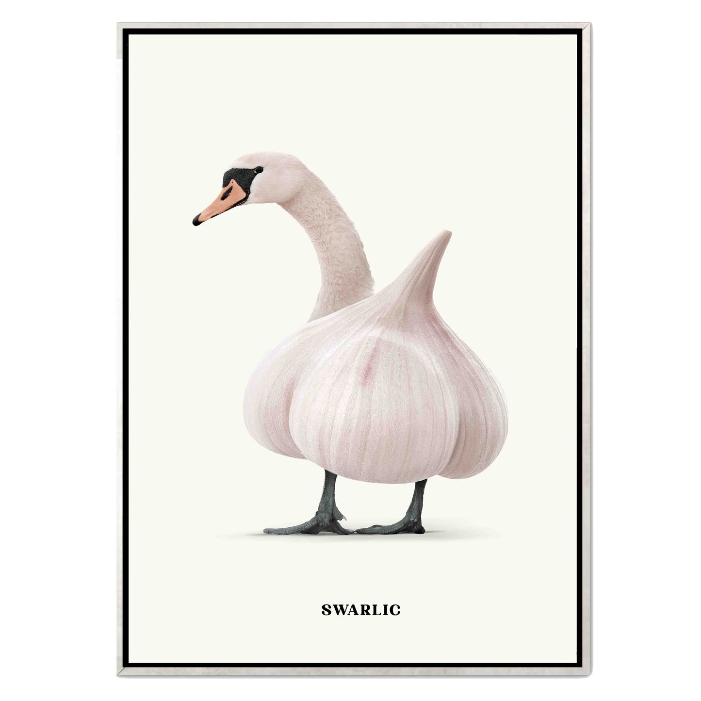 SWARLIC | CANVAS