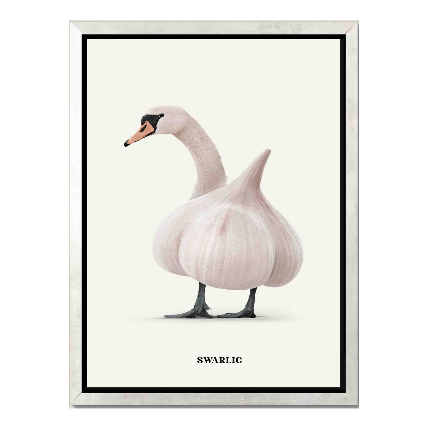 SWARLIC | CANVAS