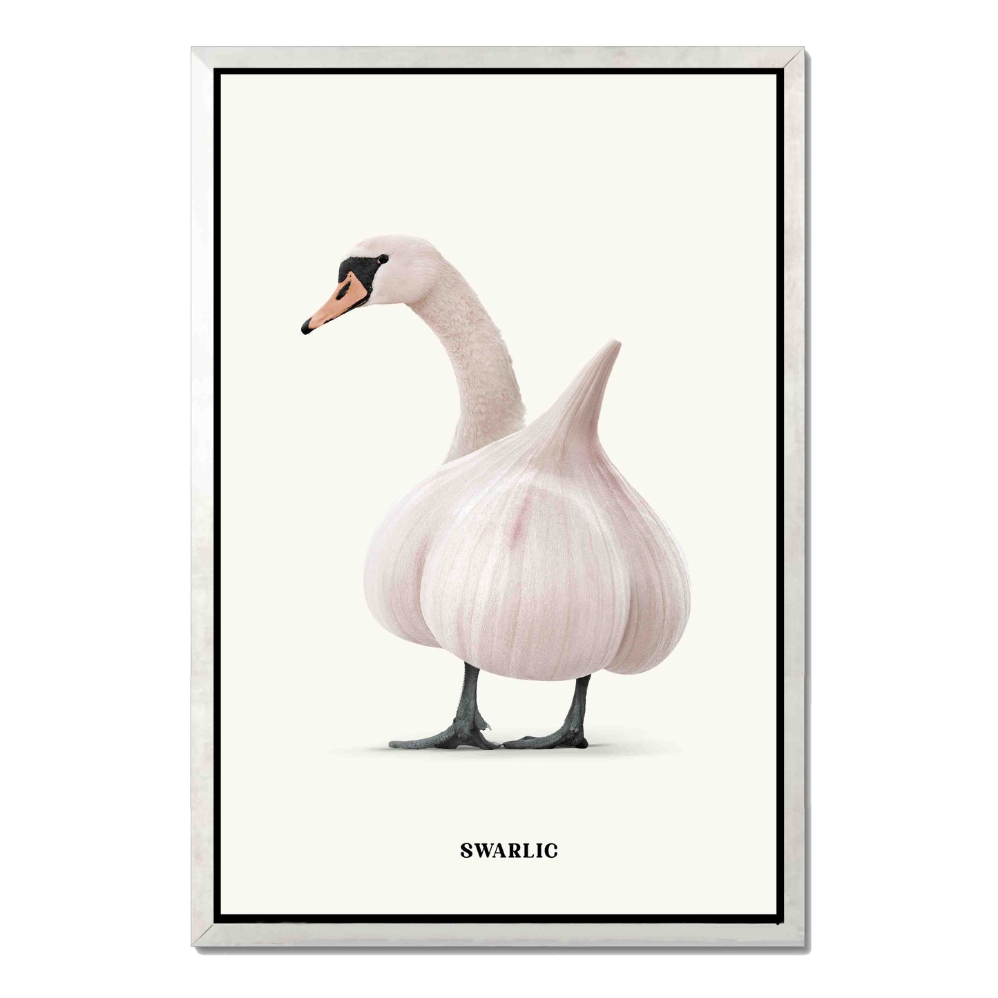 SWARLIC | CANVAS