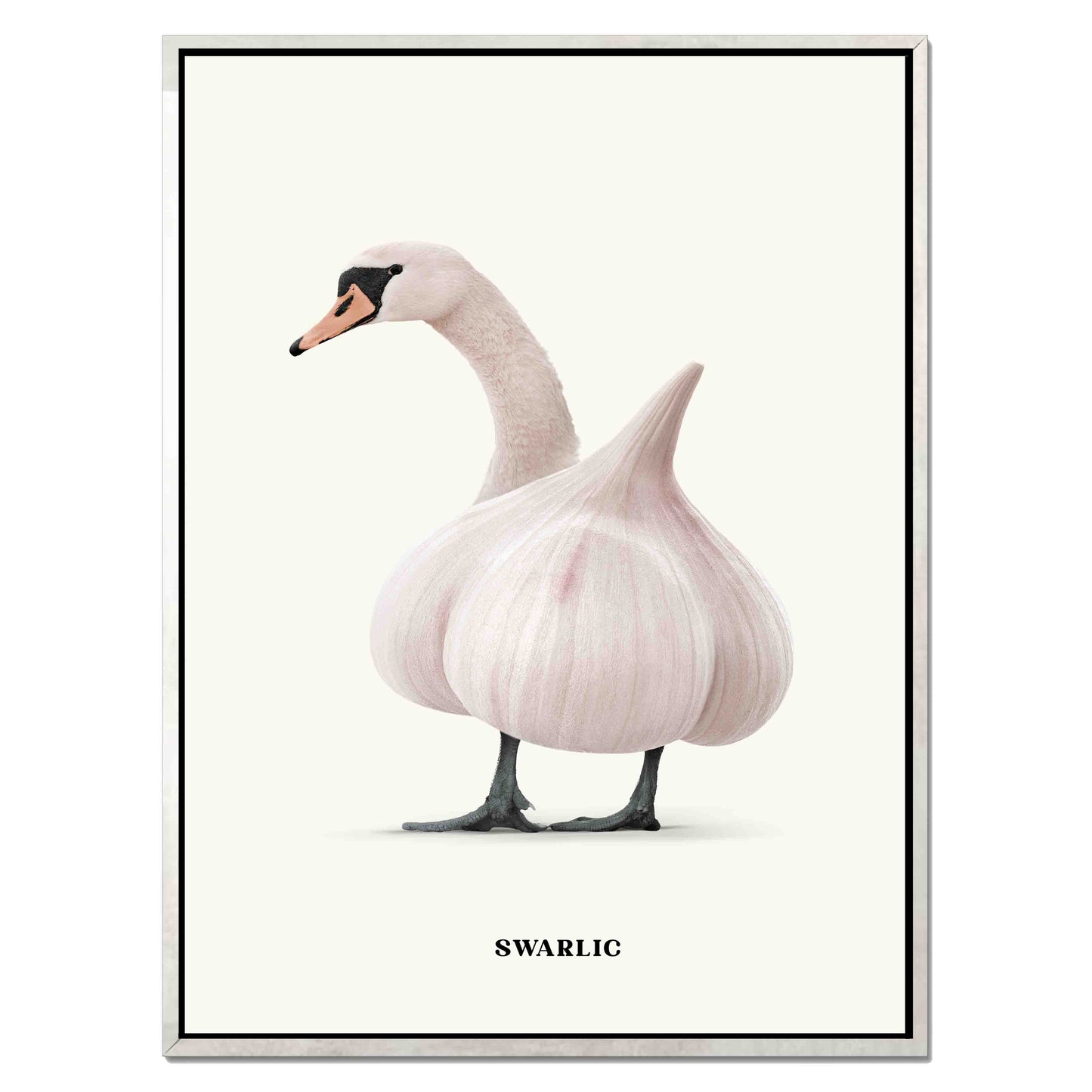 SWARLIC | CANVAS