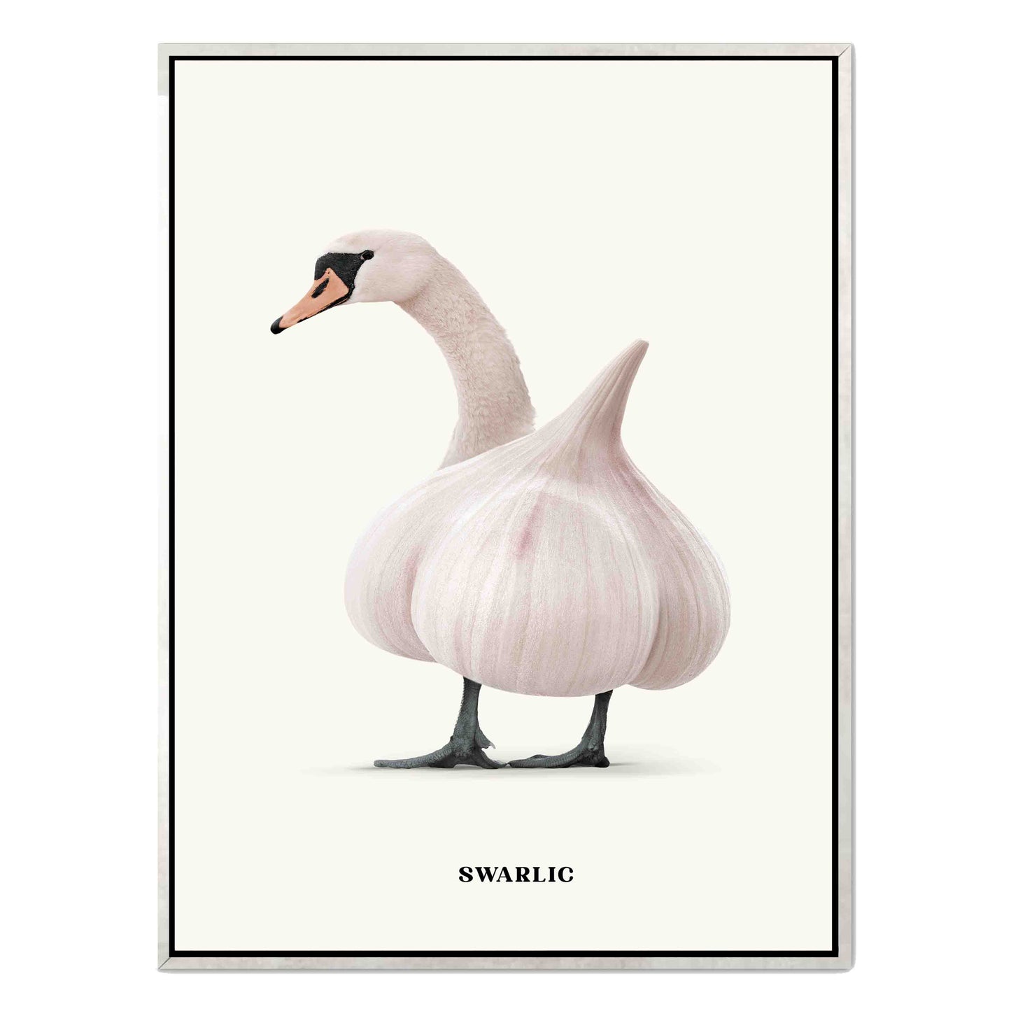 SWARLIC | CANVAS