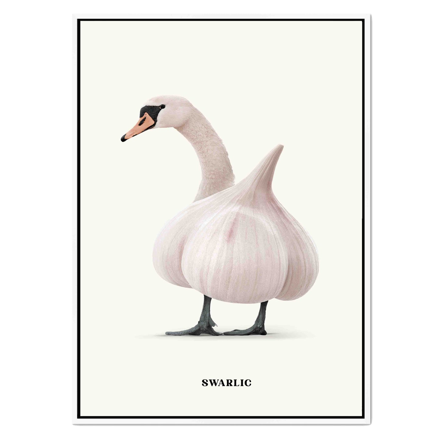 SWARLIC | CANVAS