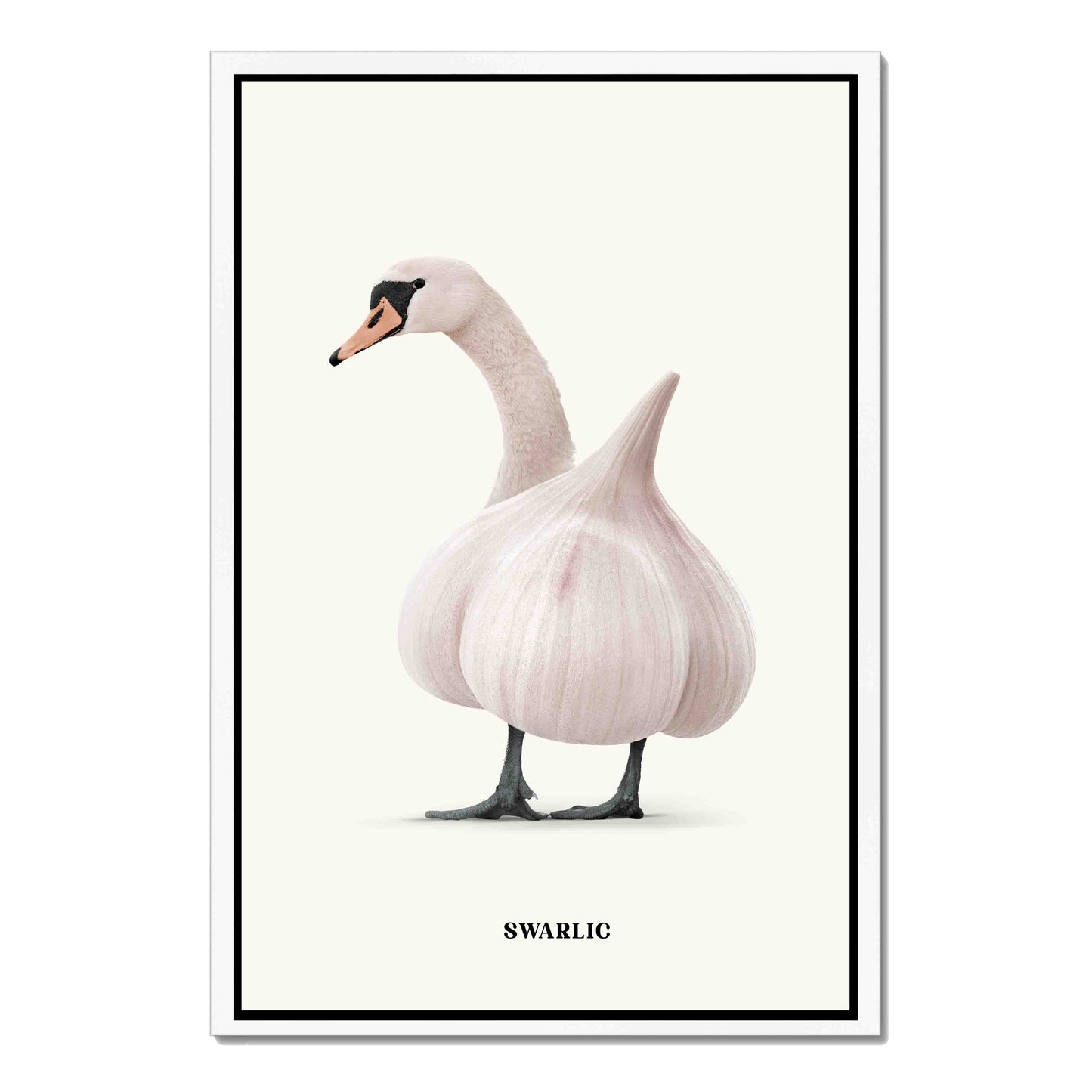 SWARLIC | CANVAS