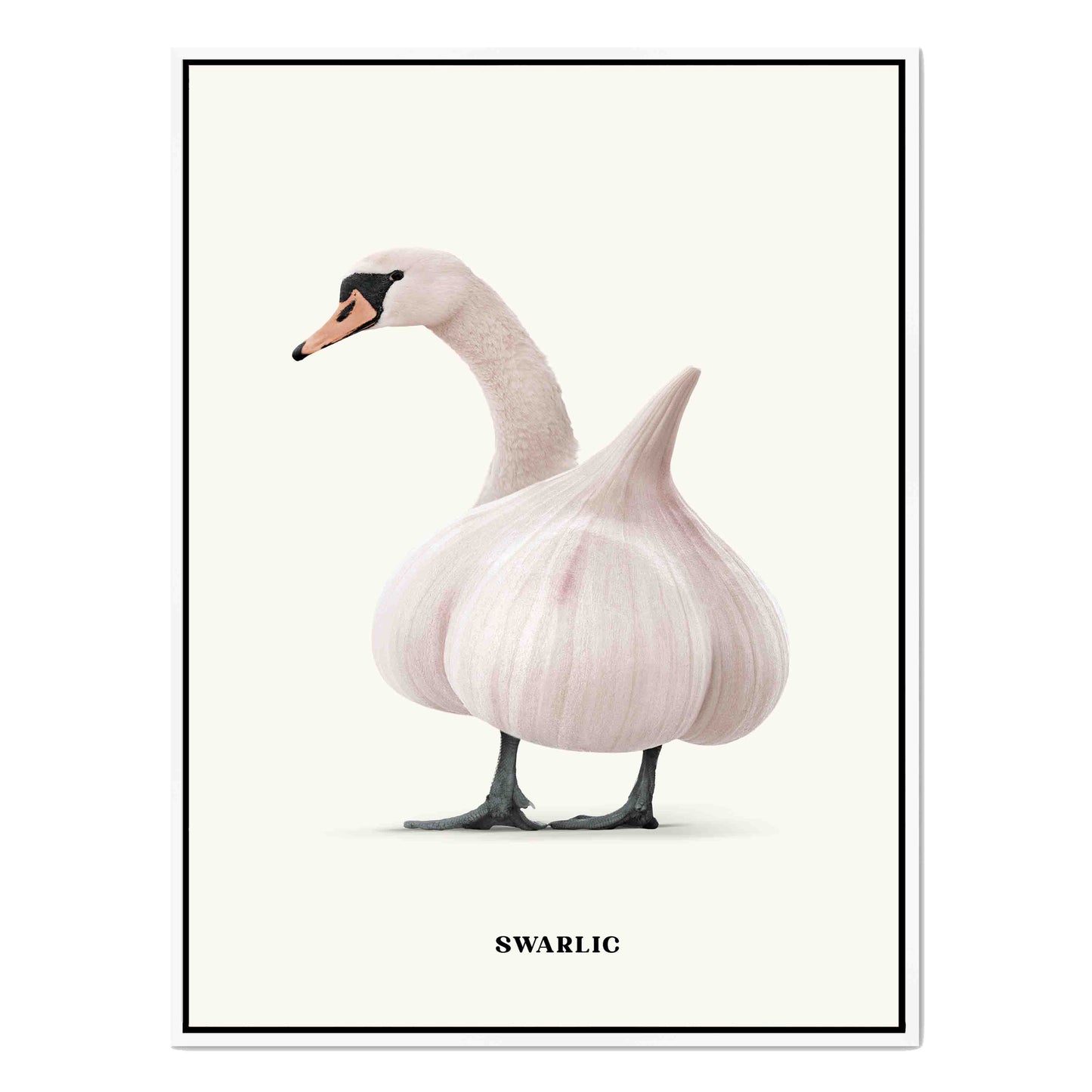 SWARLIC | CANVAS