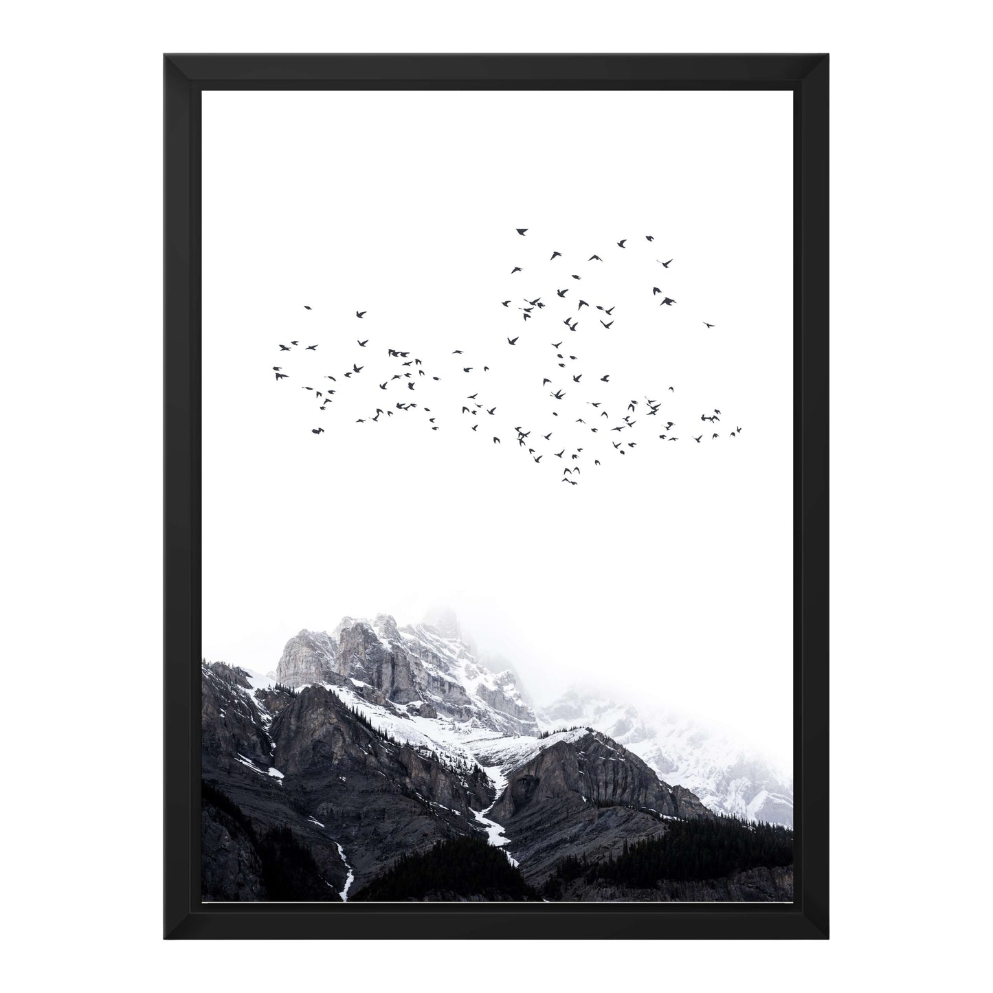 THE MOUNTAINS | CANVAS
