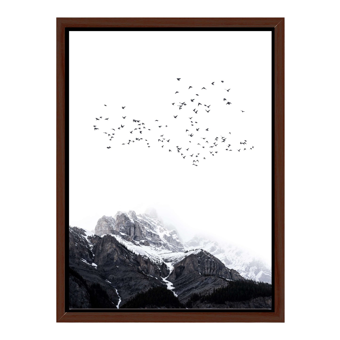 THE MOUNTAINS | CANVAS