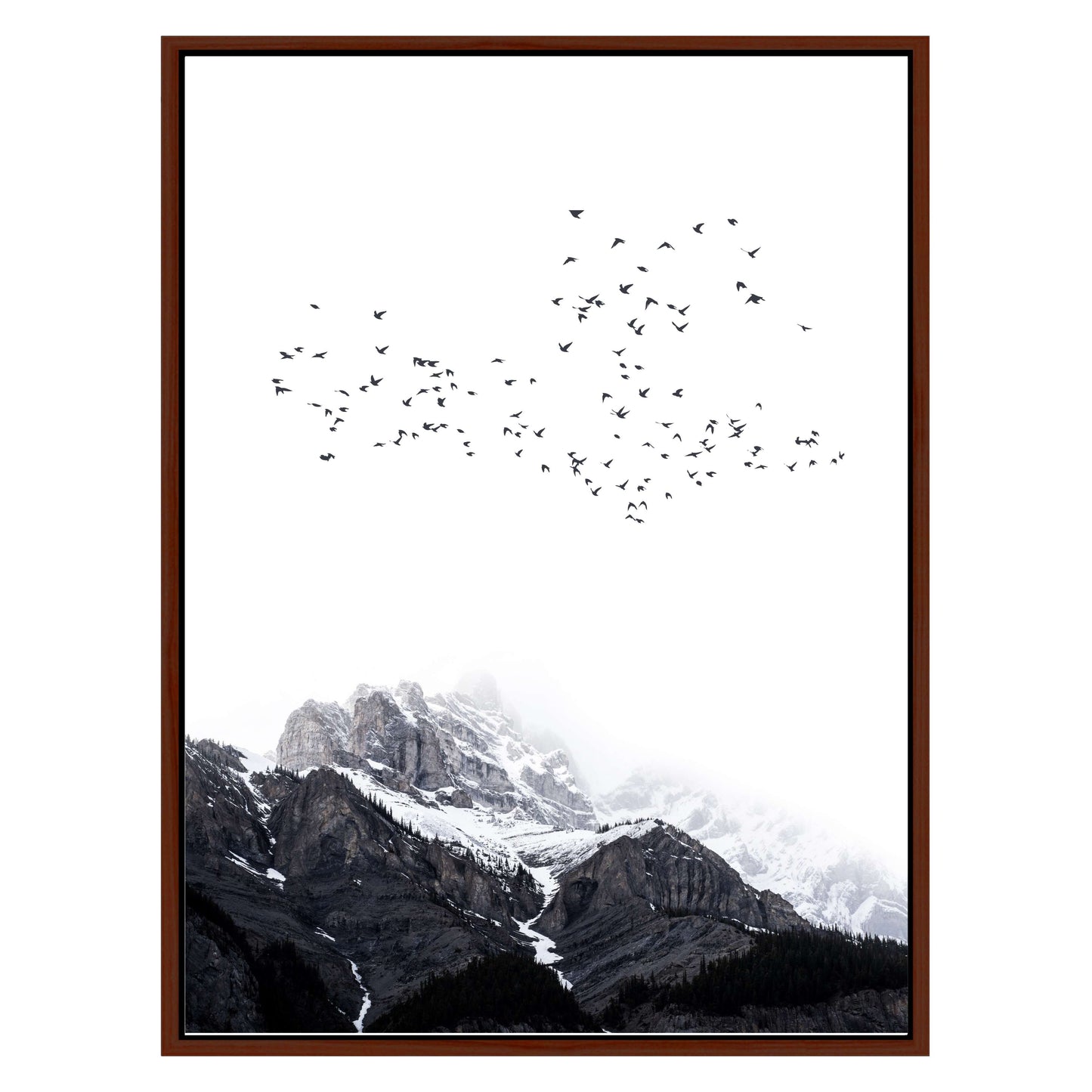 THE MOUNTAINS | CANVAS
