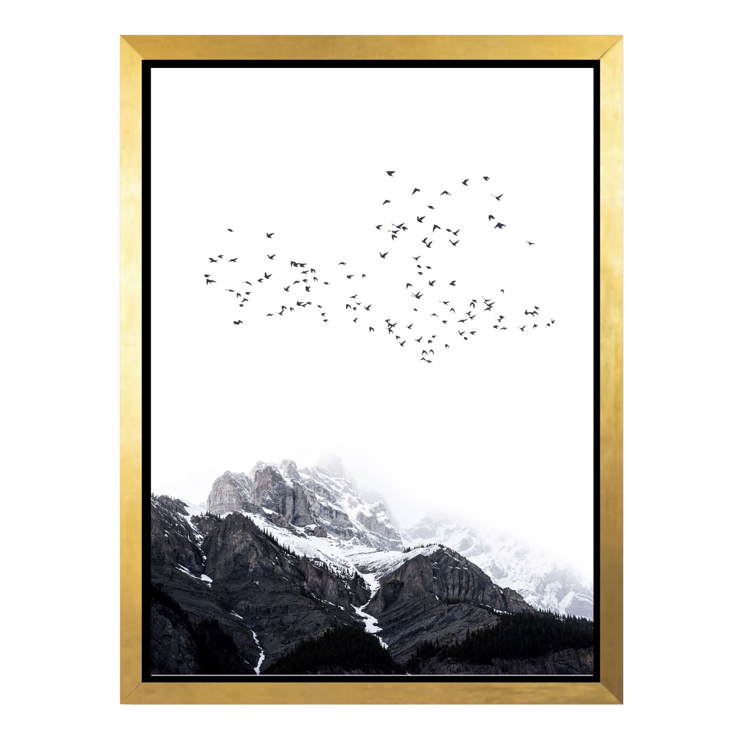 THE MOUNTAINS | CANVAS