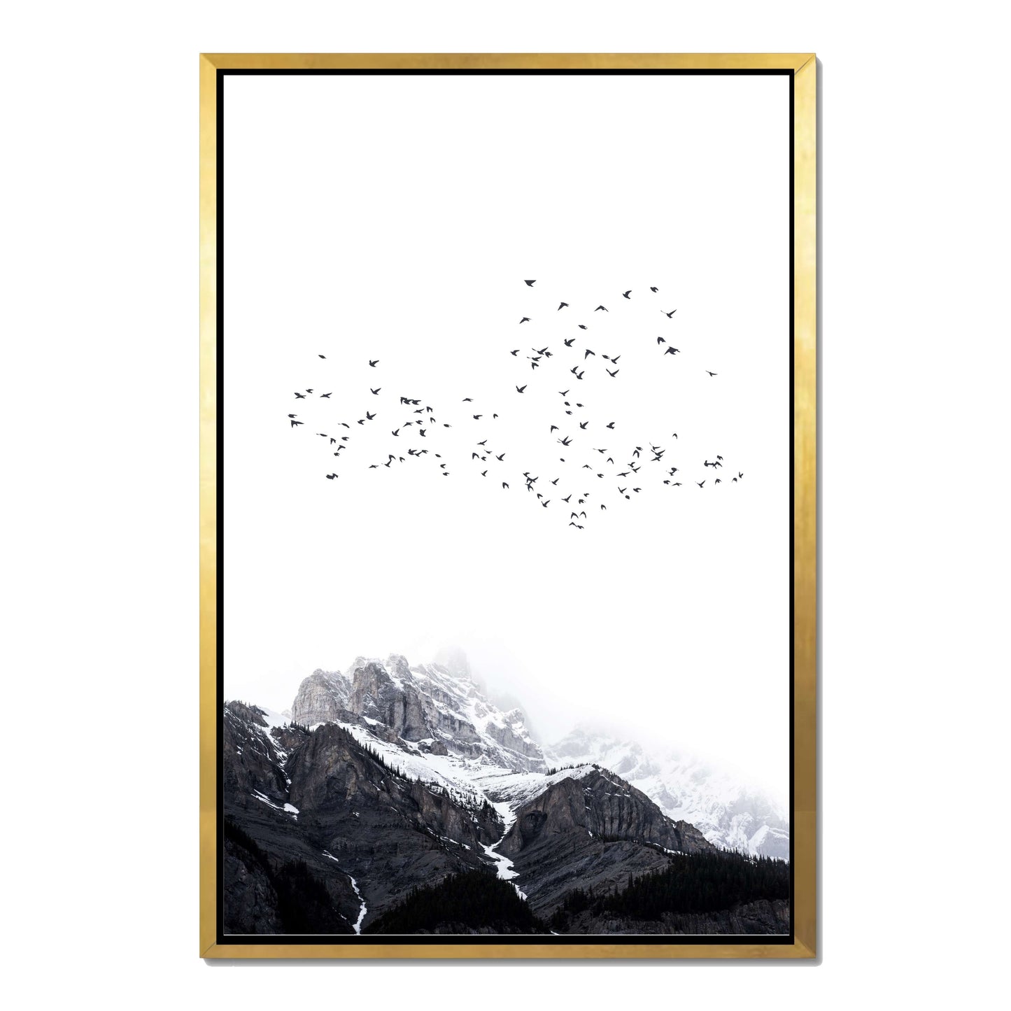 THE MOUNTAINS | CANVAS