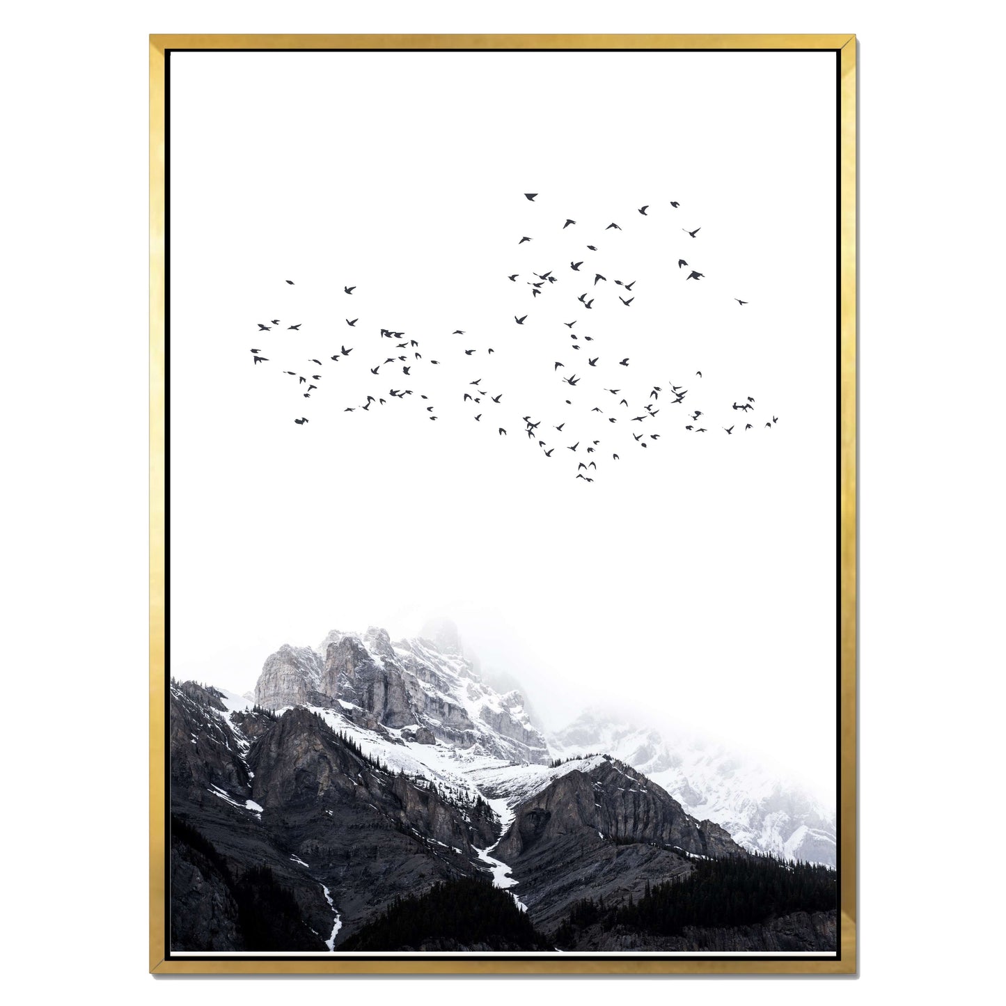 THE MOUNTAINS | CANVAS