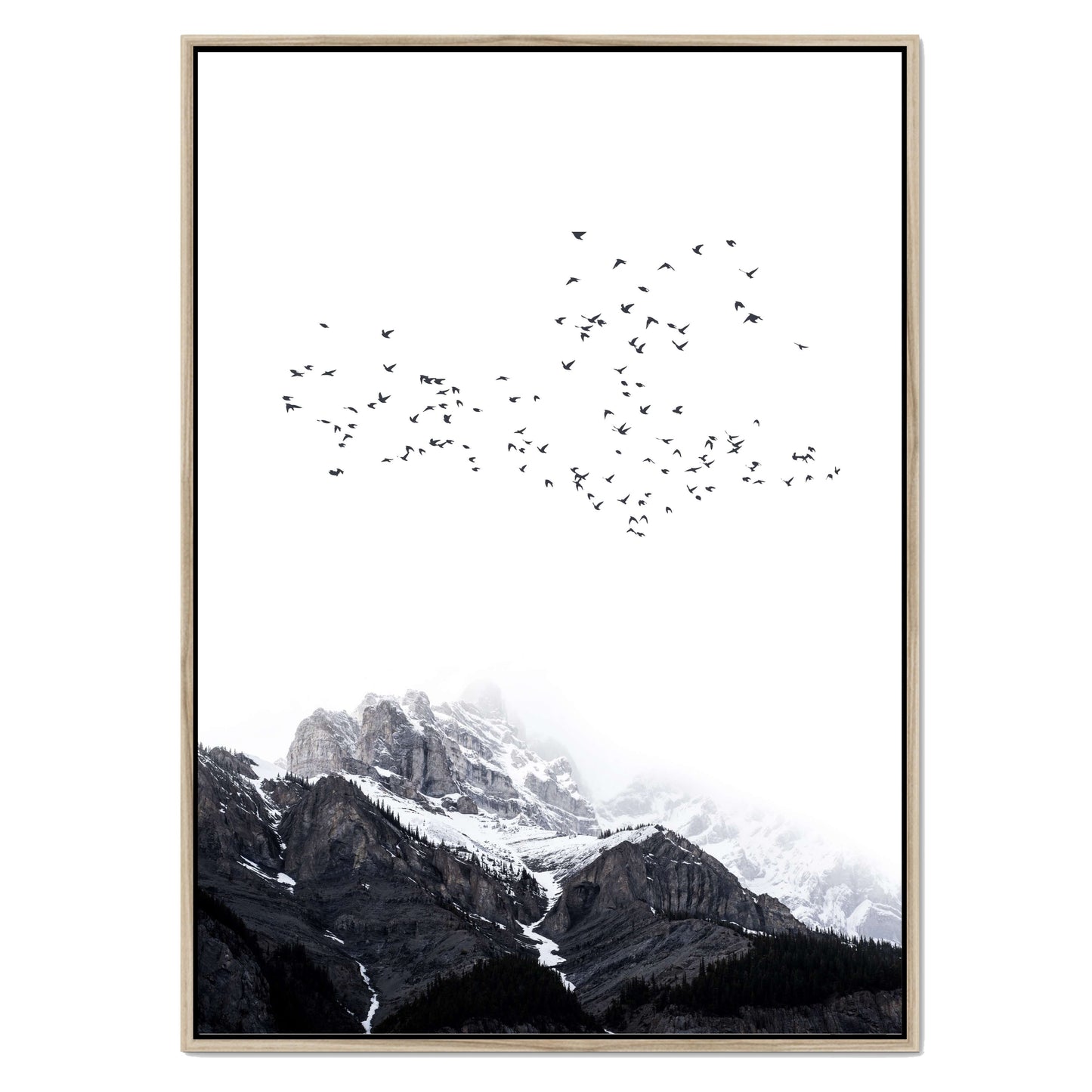 THE MOUNTAINS | CANVAS
