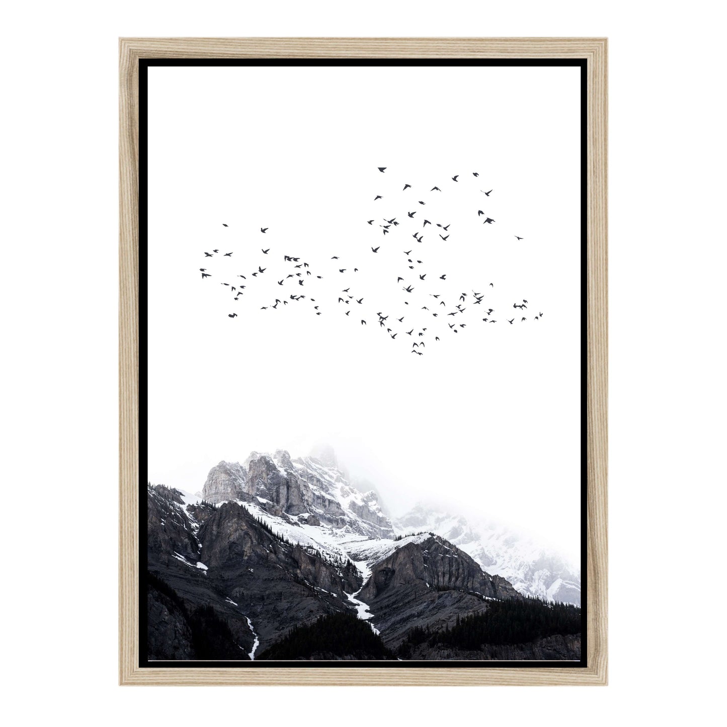 THE MOUNTAINS | CANVAS