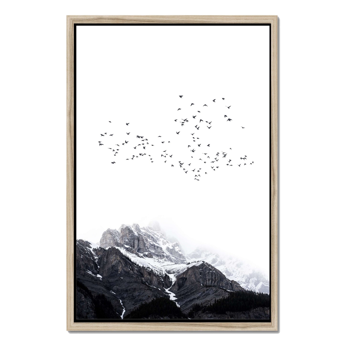 THE MOUNTAINS | CANVAS