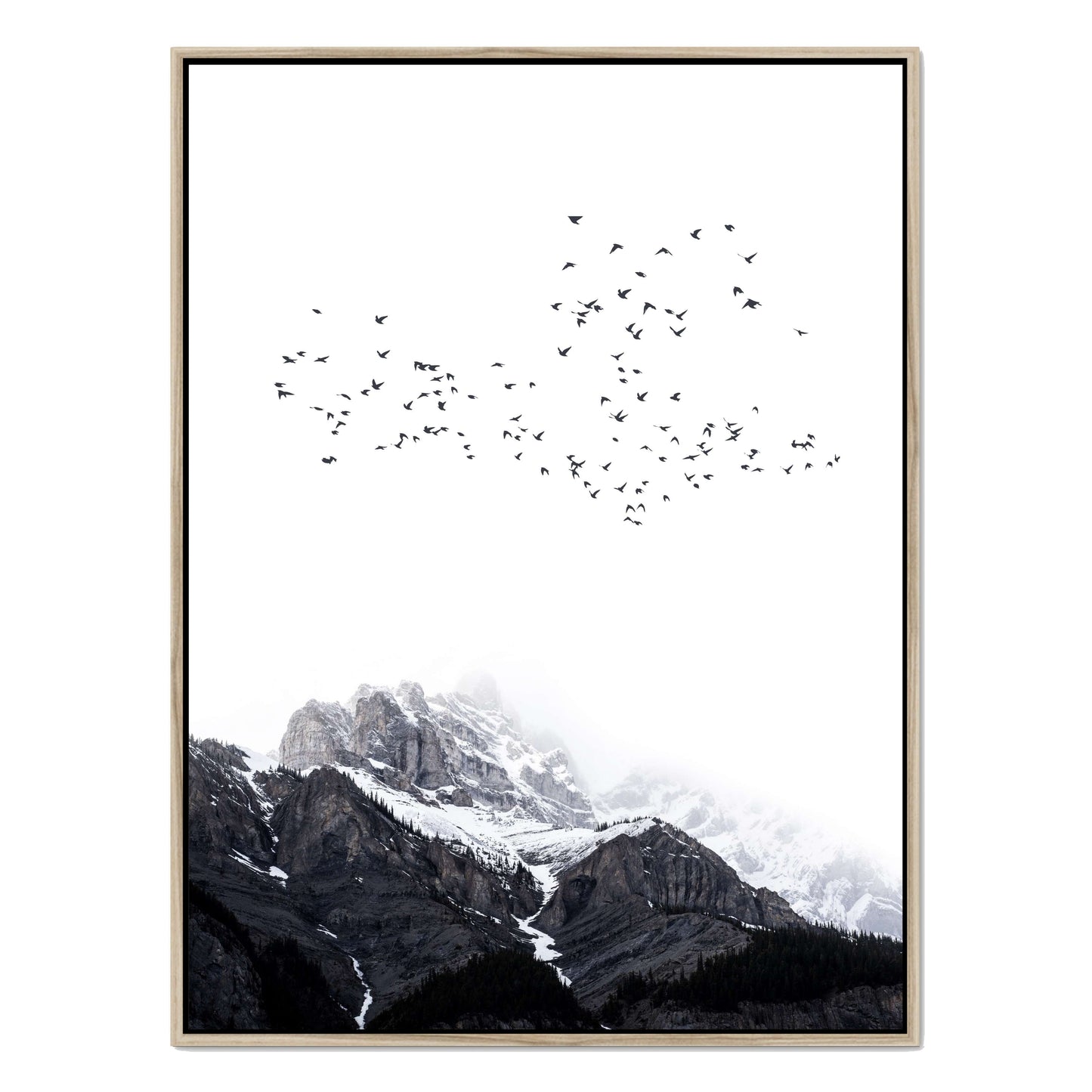 THE MOUNTAINS | CANVAS