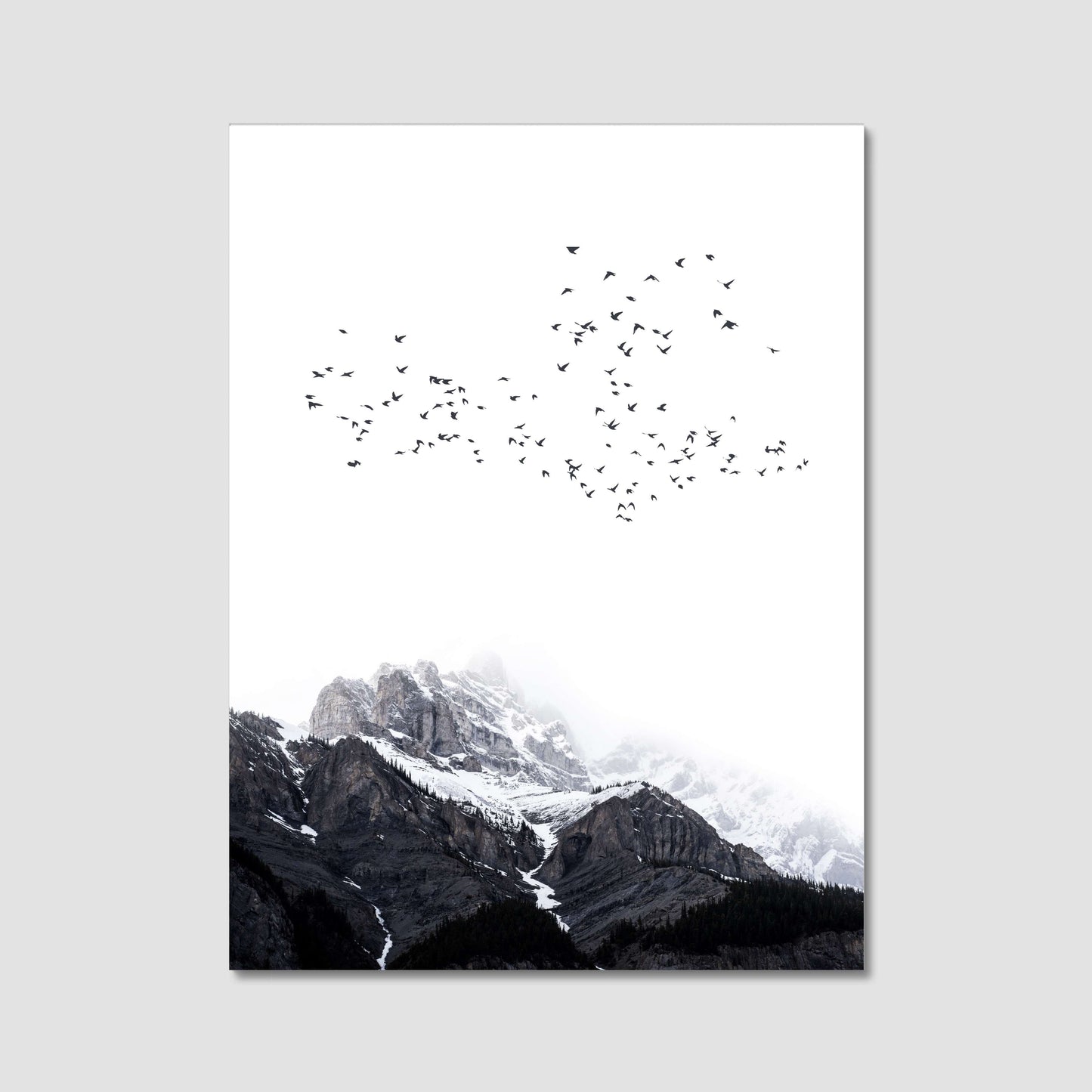 THE MOUNTAINS | CANVAS