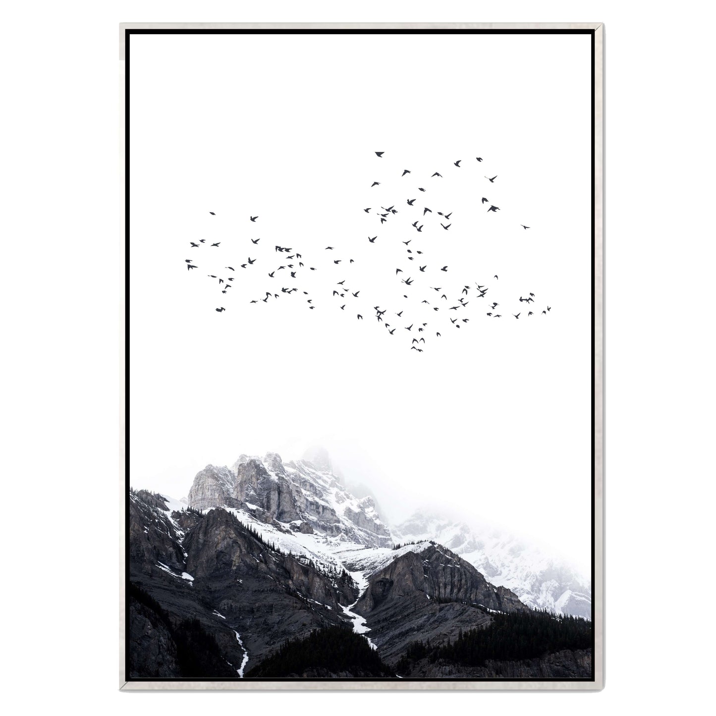 THE MOUNTAINS | CANVAS