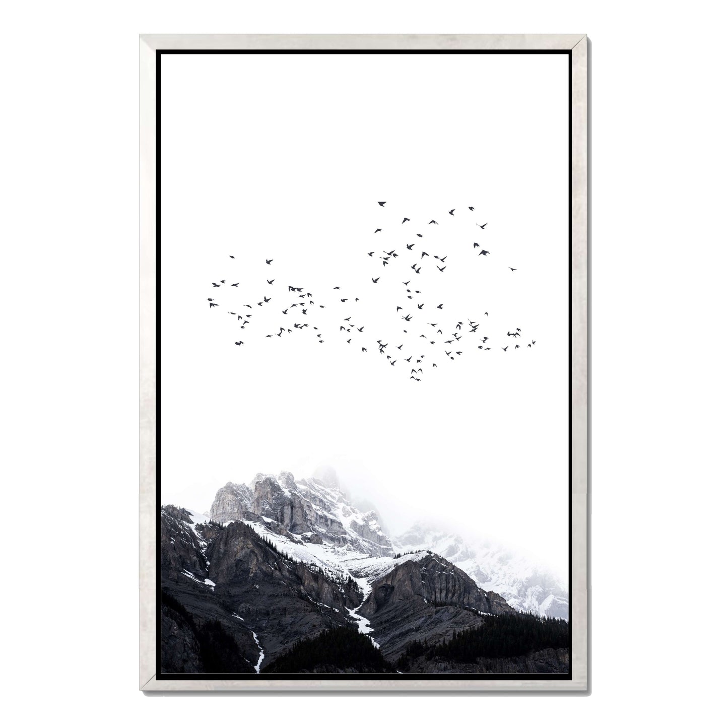 THE MOUNTAINS | CANVAS