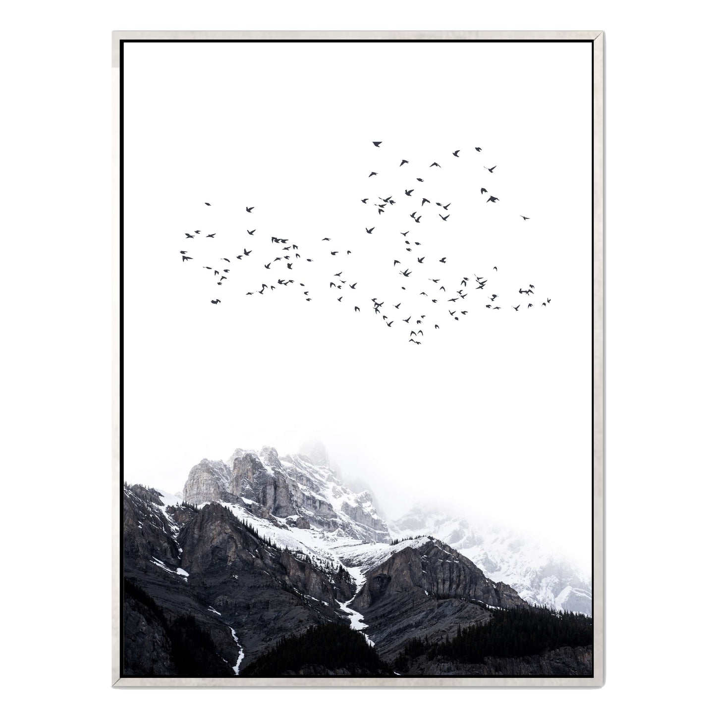 THE MOUNTAINS | CANVAS