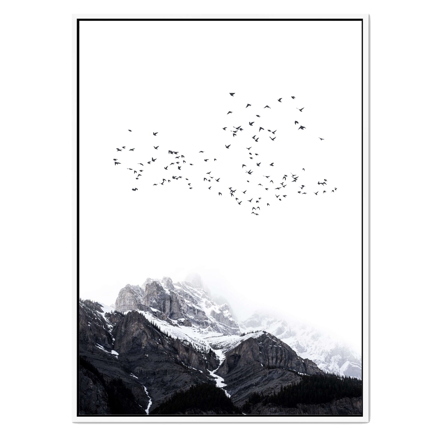 THE MOUNTAINS | CANVAS