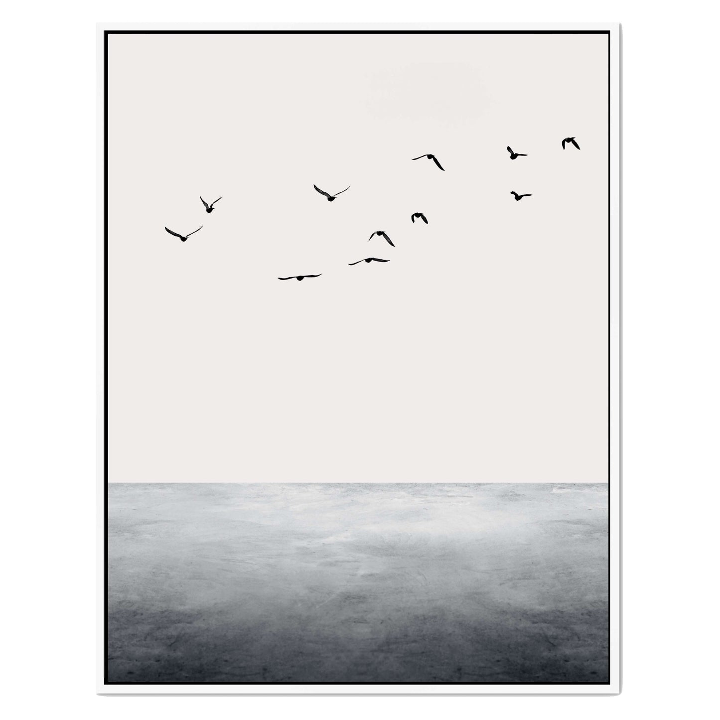 THE OCEAN | CANVAS